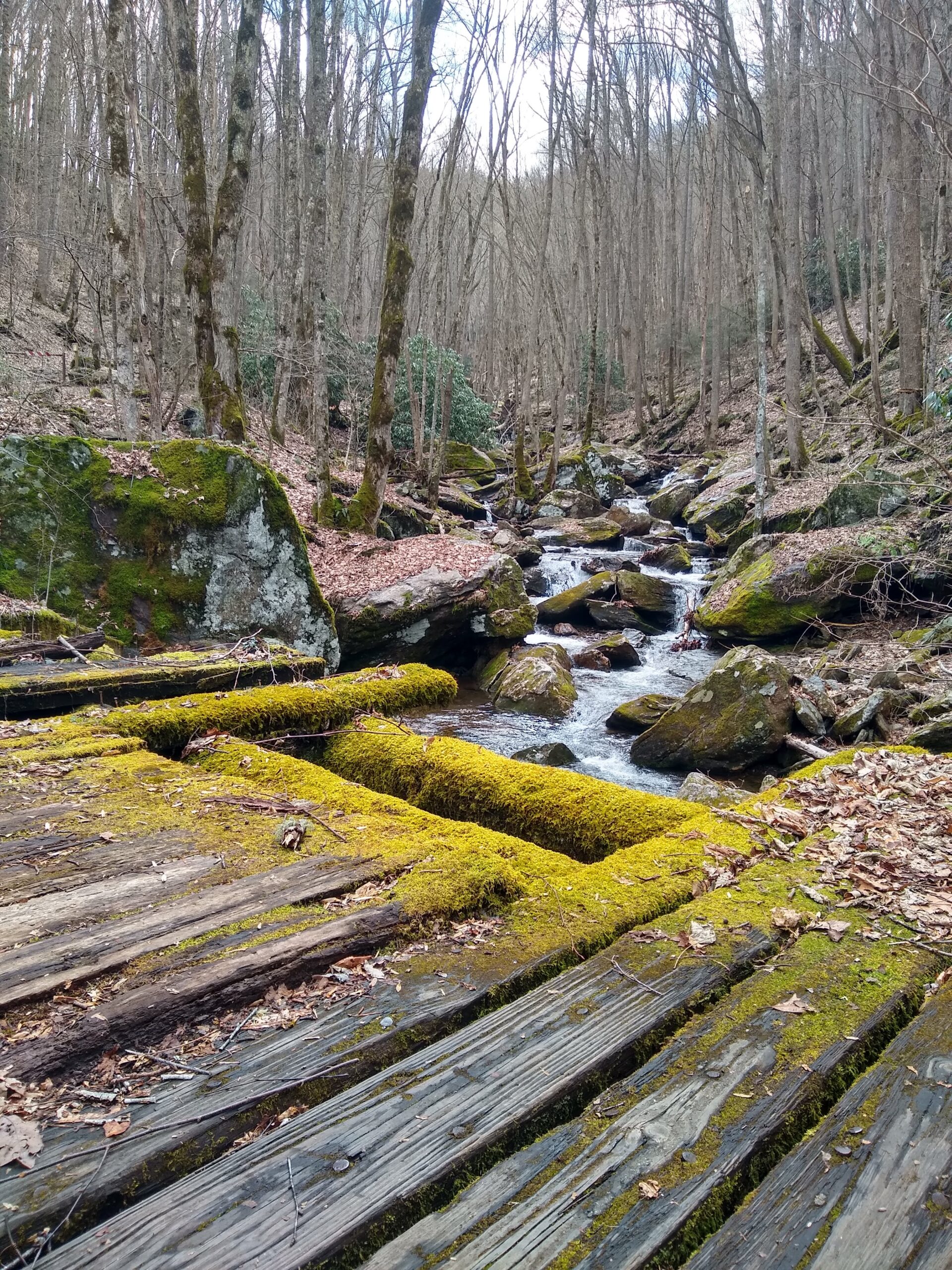 Home img 20220317 131711878 hdr