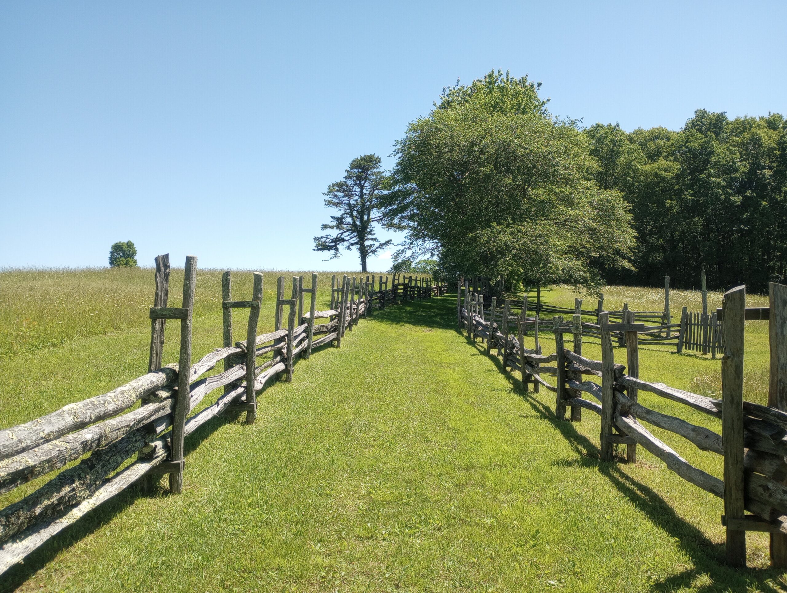 Home img 20240607 112907761